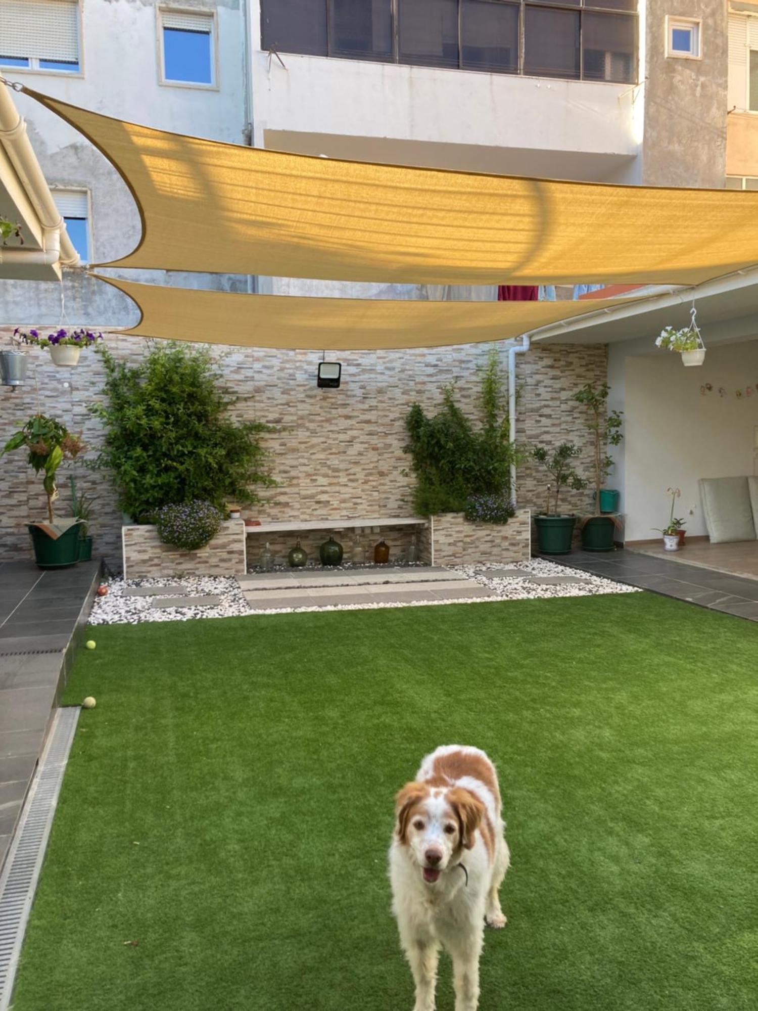 Apartamento Casanossa Setúbal Exterior foto